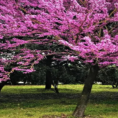 Сasa de vacaciones Elegant In With Swimming Pool Featuring Nature And Tranquillity *