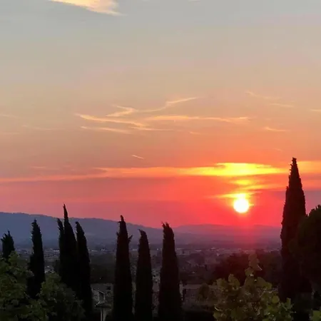 Elegant In With Swimming Pool Featuring Nature And Tranquillity *