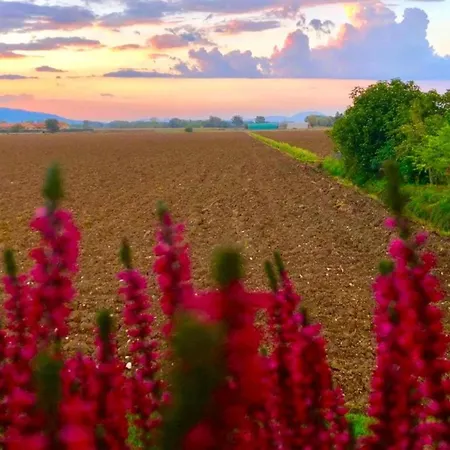 Elegant In With Swimming Pool Featuring Nature And Tranquillity Сasa de vacaciones Foligno