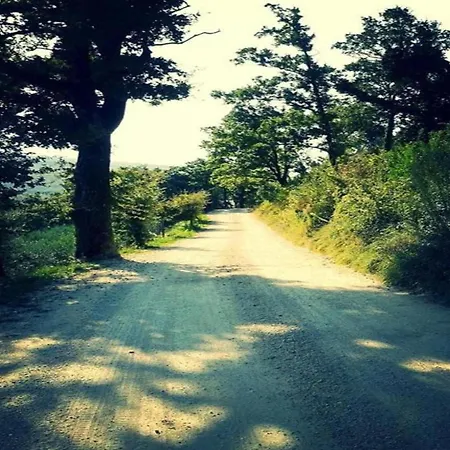 Elegant In With Swimming Pool Featuring Nature And Tranquillity