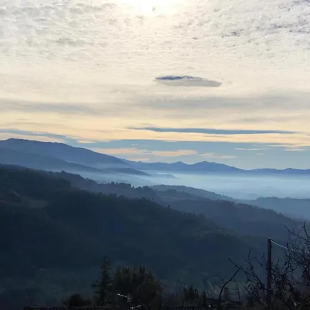 Elegant In With Swimming Pool Featuring Nature And Tranquillity *